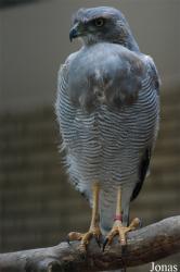 Zoo Antwerpen