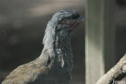 Zoo Antwerpen