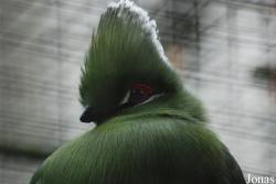 Zoo Antwerpen