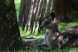 Aqua Zoo Friesland