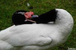Aqua Zoo Friesland