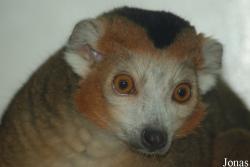 Aqua Zoo Friesland