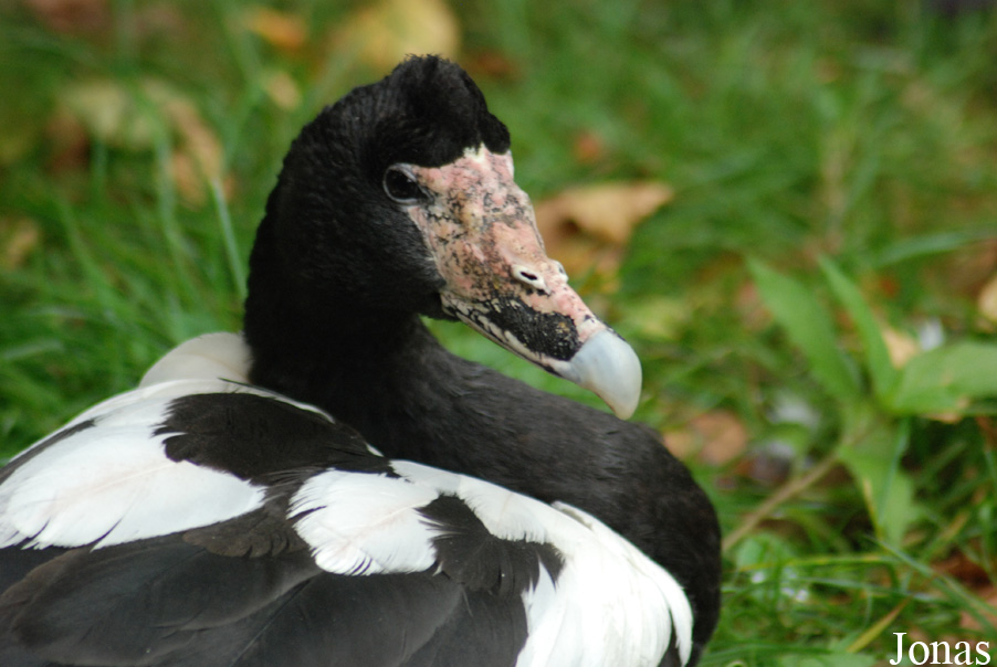 Aqua Zoo Friesland