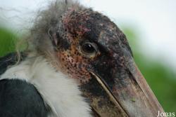 Aqua Zoo Friesland