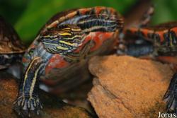 Aqua Zoo Friesland
