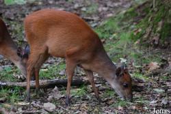 Aqua Zoo Friesland