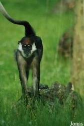 Allwetterzoo Münster