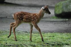 Allwetterzoo Münster