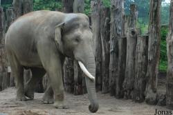 Allwetterzoo Münster