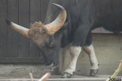 Allwetterzoo Münster