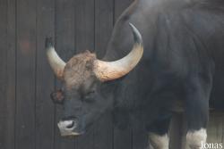 Allwetterzoo Münster