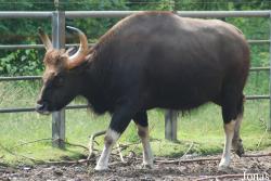 Allwetterzoo Münster