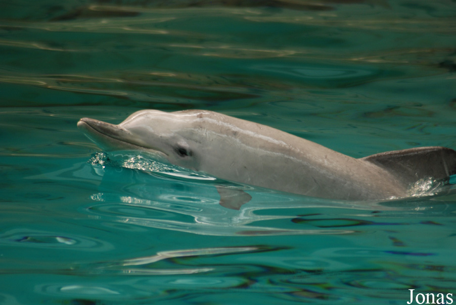 Allwetterzoo Münster
