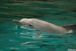 Allwetterzoo Münster