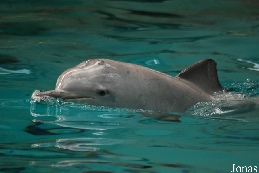 Allwetterzoo Münster