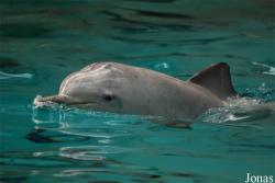 Allwetterzoo Münster