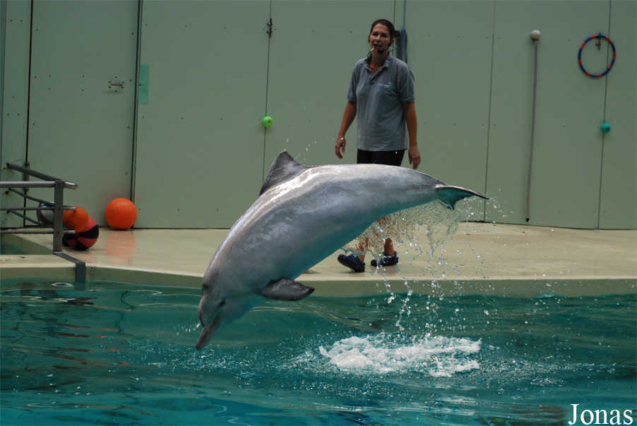 Allwetterzoo Münster