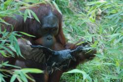 Allwetterzoo Münster