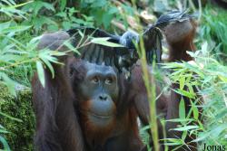 Allwetterzoo Münster