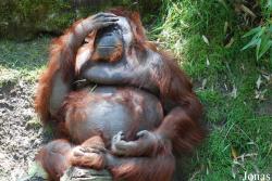 Allwetterzoo Münster