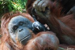 Allwetterzoo Münster