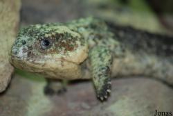 Allwetterzoo Münster