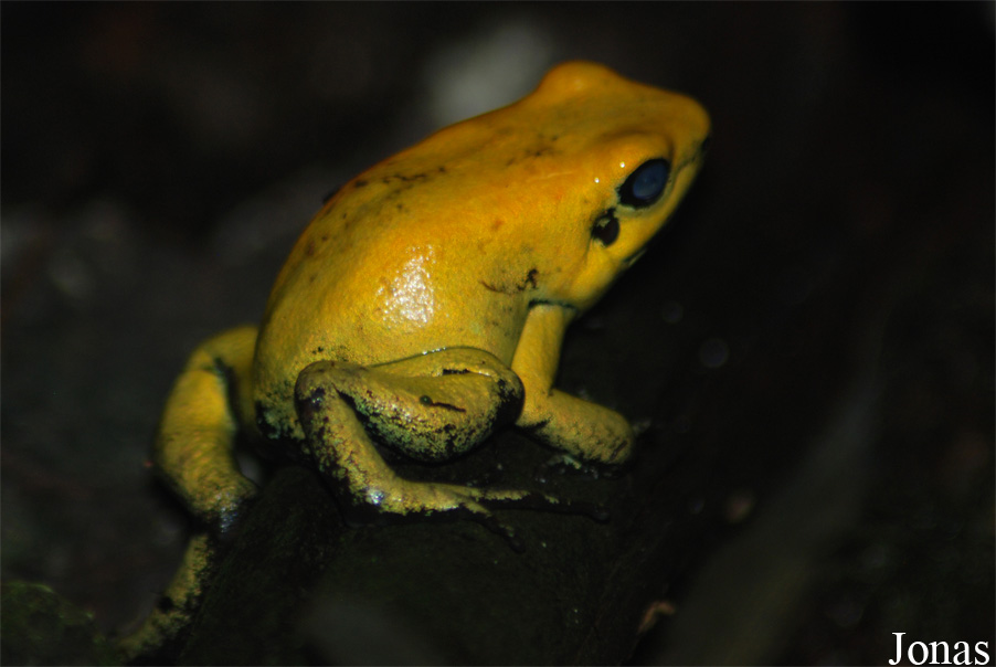 Allwetterzoo Münster