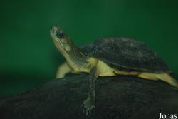 Allwetterzoo Münster
