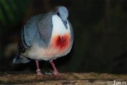 Allwetterzoo Münster