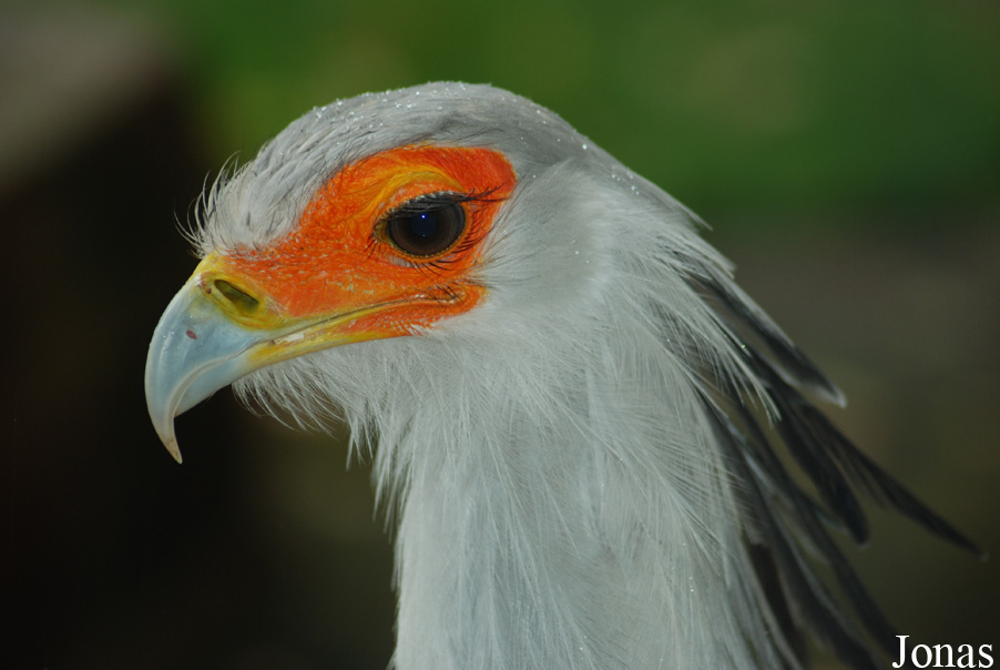 Allwetterzoo Münster