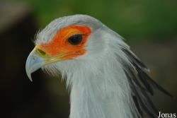Allwetterzoo Münster