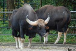 Allwetterzoo Münster