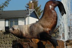 Dolfinarium Harderwijk