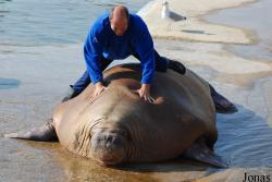 Dolfinarium Harderwijk