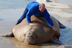 Dolfinarium Harderwijk