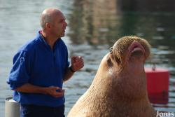 Dolfinarium Harderwijk