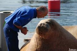 Dolfinarium Harderwijk