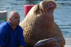 Dolfinarium Harderwijk