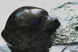 Burgers' Zoo