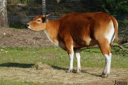 Burgers' Zoo