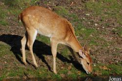 Burgers' Zoo