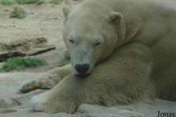 Zoo d'Amnéville
