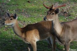 Burgers' Zoo