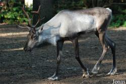 Burgers' Zoo