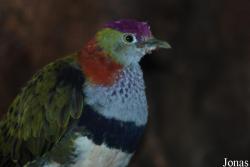 Burgers' Zoo