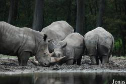 Burgers' Zoo