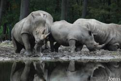 Burgers' Zoo