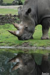 Burgers' Zoo