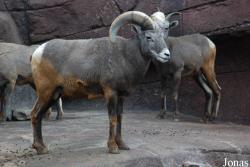 Burgers' Zoo