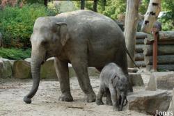 Dierenpark Emmen